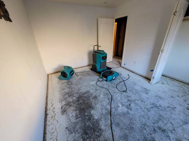 Best Wood Floor Water Damage Restoration in Palatine, IL